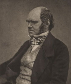Charles Darwin c. 1854