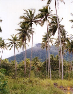 Mount Gamalama, the volcano that dominates the island of Ternate.